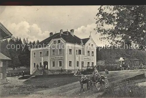 Spiegelau Gasthof Pronfelden / Spiegelau /Freyung-Grafenau LKR