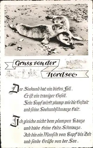 Norderney Nordseebad Seehunde Gedicht Kat. Norderney