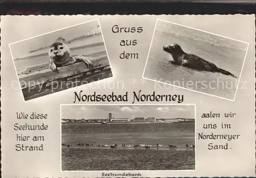 Norderney Nordseebad Seehundsbank Kat. Norderney