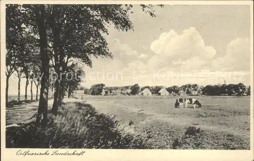 Aurich Ostfriesland Ostfriesische Landschaft Baumallee Kuehe Kat. Aurich