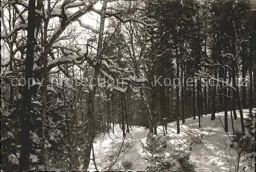 Goehrde Wald Heide Kat. Goehrde