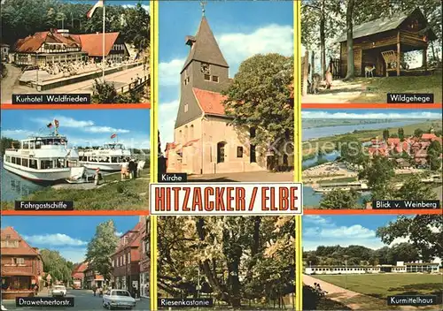 Hitzacker Elbe Wildgehege Kurmittelhaus Riesenkastanie Kirche Drawehnertorstrasse Kat. Hitzacker (Elbe)