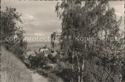 Hitzacker Elbe Blick vom Weinberg  Kat. Hitzacker (Elbe)