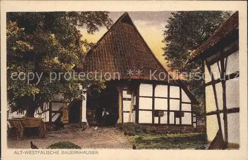 Bueckeburg Alt Westfaelisches Bauernhaus Kat. Bueckeburg