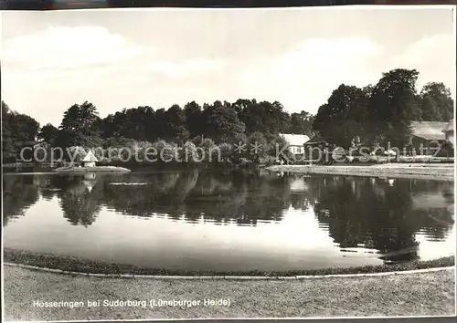 Hoesseringen Schwanenteich Lueneburger Heide Kat. Suderburg