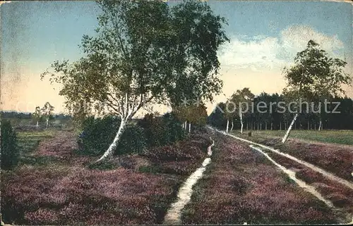 Poitzen Lueneburger Heide Kat. Fassberg