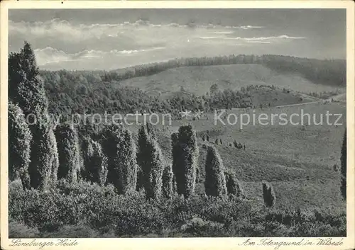 Wilsede Lueneburger Heide Totengrund / Bispingen /Soltau-Fallingbostel LKR