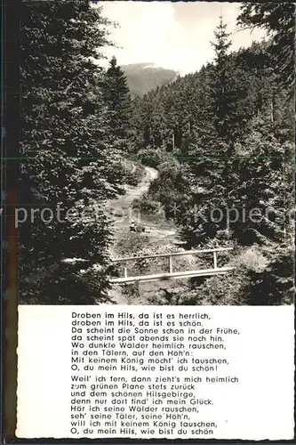 Gruenenplan Wald Gedicht Kat. Delligsen