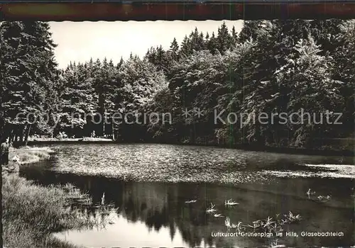 Gruenenplan Glasenbachteich Kat. Delligsen