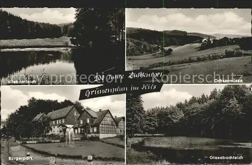 Gruenenplan Ochsenwiese Hilsbornteich Buergerpark Glasbachteich Kat. Delligsen