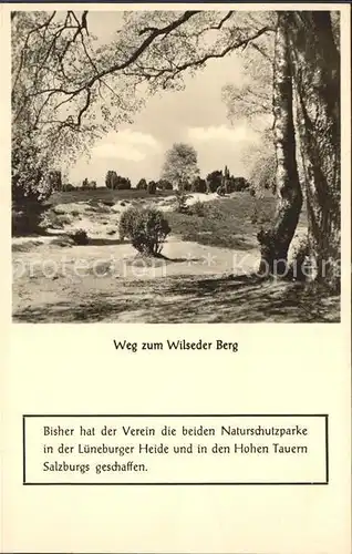 Wilsede Lueneburger Heide Weg zum Wilseder Berg / Bispingen /Soltau-Fallingbostel LKR