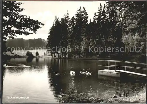 Gruenenplan Glasebachteich Kat. Delligsen