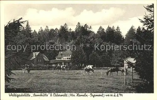 Osterwald Elze Waldgaststaette Sennhuette Kat. Salzhemmendorf