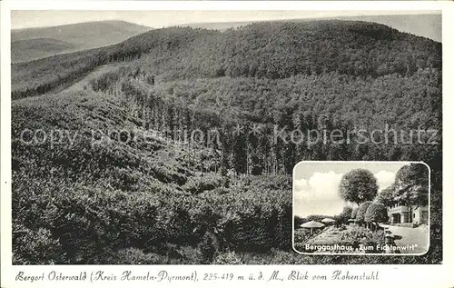 Osterwald Elze Fliegeraufnahme Berggasthaus Zum Fichtenwirt Kat. Salzhemmendorf