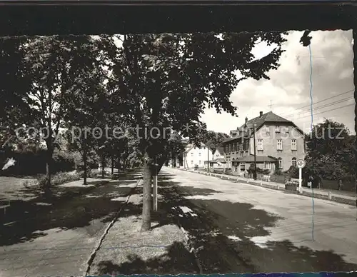 Bad Rehburg Allee Kat. Rehburg Loccum