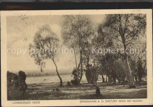 Mueden oertze Birkenhain Kat. Fassberg