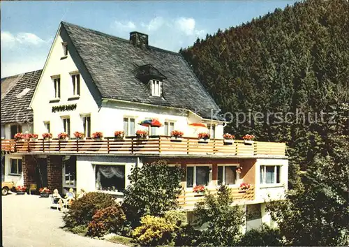 Schwalefeld Pension Sonnenhof  Kat. Willingen (Upland)