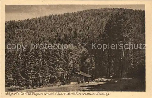 Stryck Sommerwohnung Kat. Willingen (Upland)