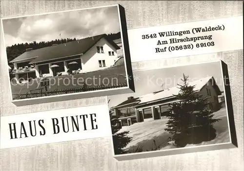 Willingen Sauerland Haus Bunte Kat. Willingen (Upland)