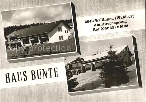 Willingen Sauerland Haus Bunte Kat. Willingen (Upland)