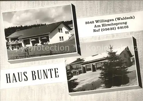 Willingen Sauerland Haus Bunte Kat. Willingen (Upland)