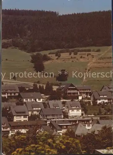 Willingen Sauerland Duesseldorfer Hof Kat. Willingen (Upland)