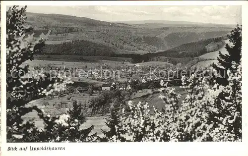 Lippoldshausen Panorama Sommerfrische Kat. Hann. Muenden