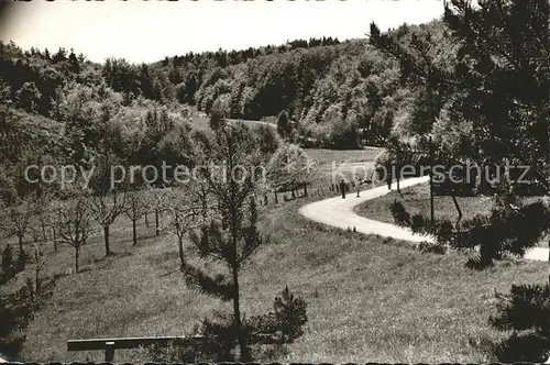 Bad Endbach Feldweg Landschaft Kat. Bad Endbach