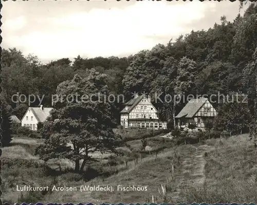 Arolsen Bad Fischhaus Kat. Bad Arolsen