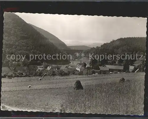 Helminghausen am Diemelsee Kat. Marsberg