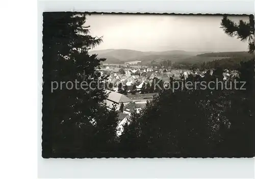 Wrexen Blick vom Waldrand aus Kat. Diemelstadt