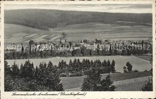 Amelunxen Felder Dorf Kat. Beverungen