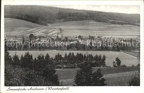 Amelunxen Stadtansicht Kat. Beverungen