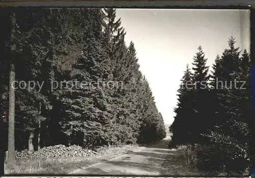 Neuenheerse Zum Eggergebirge Waldweg  Kat. Bad Driburg