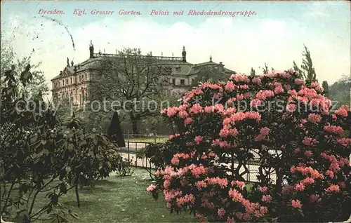 Dresden Koenigliche Grosser Garten Palais Rhododendrongruppe Kat. Dresden Elbe