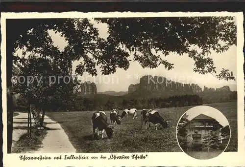 Schandau Bad Hotel Pension Ostrauer Scheibe Schrammsteine Kat. Bad Schandau