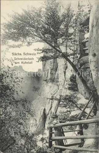 Schandau Bad Schneiderloch am Kuhstall Kat. Bad Schandau