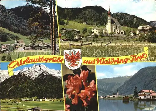 Waidring Tirol Ortsblick Kirche Panorama Alpenrosen Pillersee Kat. Waidring