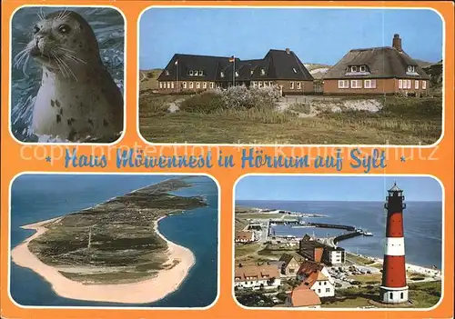 Hoernum Sylt Haus Moewennest Leuchtturm Fliegeraufnahme Kat. Hoernum (Sylt)