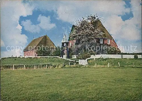 Hallig Hooge Kirchwarft Kat. Hooge