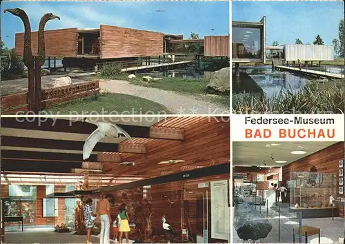Bad Buchau Federsee Federsee Museum Teilansichten Kat. Bad Buchau