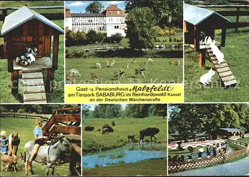 Reinhardswald Gast und Pensionshaus Malzfeldt Tierpark Sababurg Wildgehege Hasen Ponnyreiten Bueffel Kat. Hofgeismar