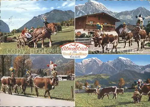 Berchtesgaden Almabtrieb im Berchtesgadener Land Kat. Berchtesgaden