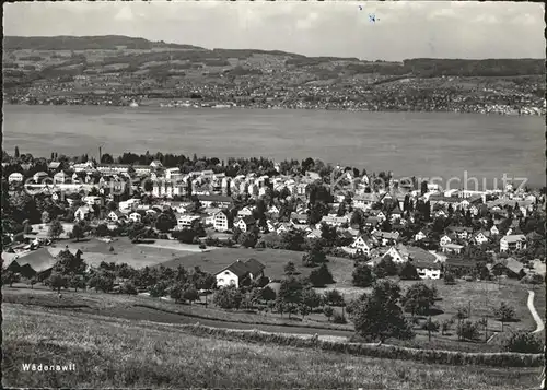 Waedenswil Panorama Zuerichsee Kat. Waedenswil