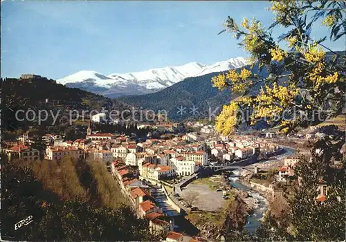 Roussillon Isere Le Vallespir Kat. Roussillon