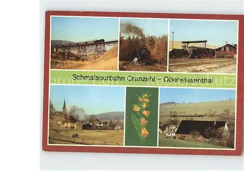 Oberwiesenthal Erzgebirge Schalspurbahn Cranzahl Viadukt Bergfahrt Lokeinsatzstelle Hammerunterwiesenthal Unterneudorf Kat. Oberwiesenthal