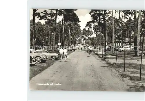 Trassenheide Usedom Allee Kat. Trassenheide