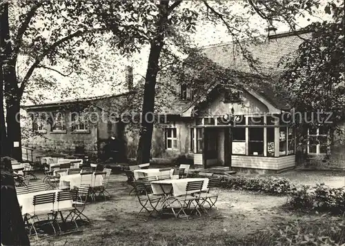 Koenigstein Saechsische Schweiz Festung Gartenrestaurant Kat. Koenigstein Saechsische Schweiz