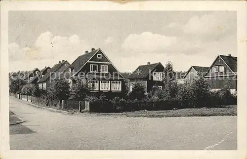 Tanne Harz Lindewarte Kat. Tanne Harz