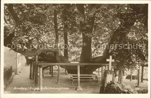 Annaberg Buchholz Erzgebirge Auferstehungslinde Kreuz Kat. Annaberg